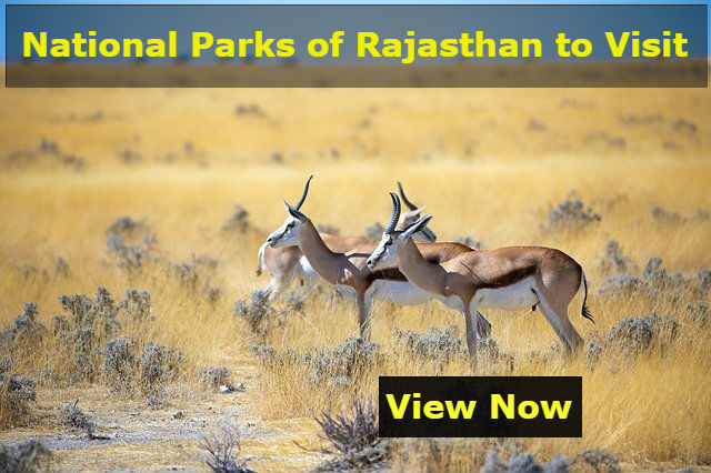 National Parks of Rajasthan to Visit