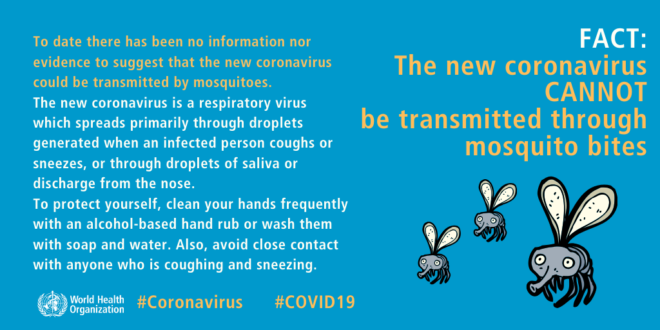 Is new Corona Virus is transmitted through mosquitoes? popularinindia