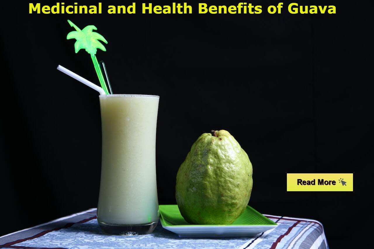 A Nutrient-Packed Tropical Fruit for Optimal Health - Popular in India
