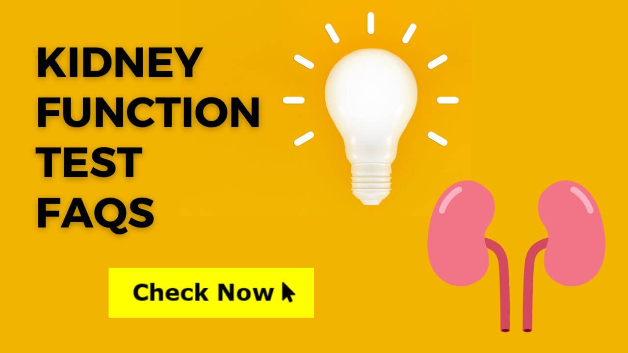 Frequently Asked Questions on Kidney Functions Tests Health Test Popular in India