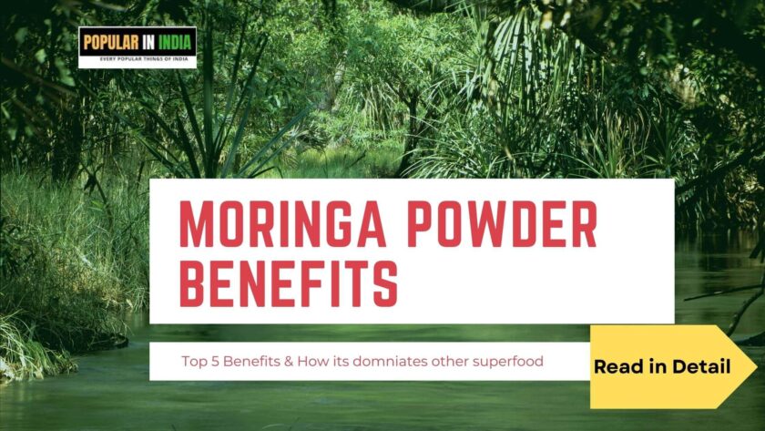 moringa powder benefits